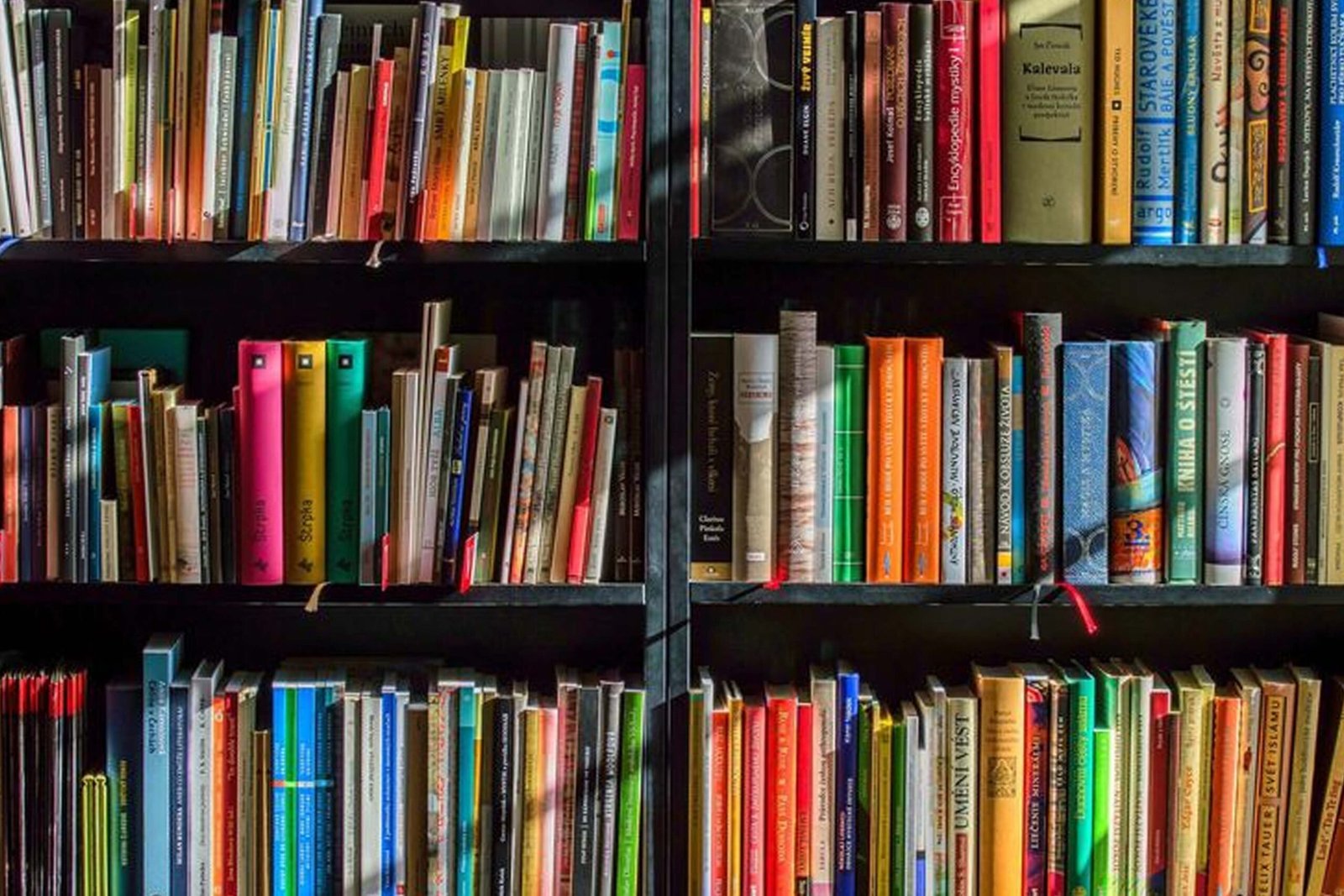 Mengupas Karya: Penulis Buku Terkenal di Dunia yang Merubah Perspektif Kita Mengupas Karya: Penulis Buku Terkenal di Dunia yang Merubah Perspektif Kita